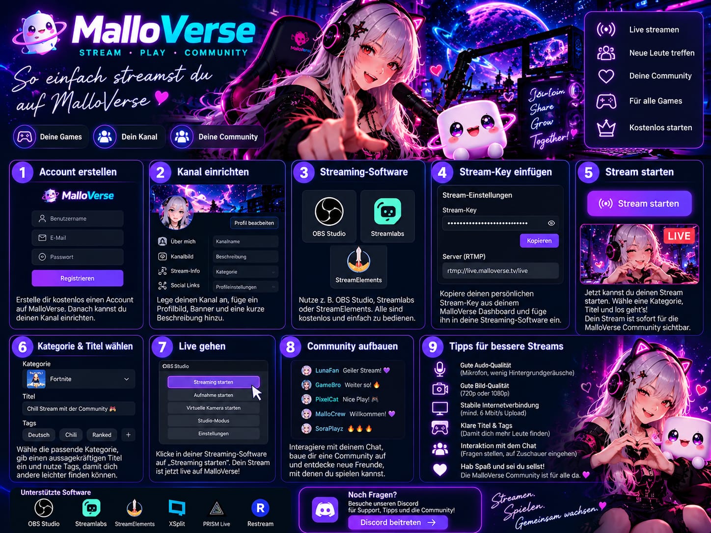 MalloVerse Anleitung zum Streamen